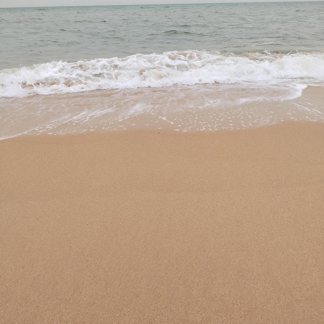 我爱赶海小号，民宿带赶海