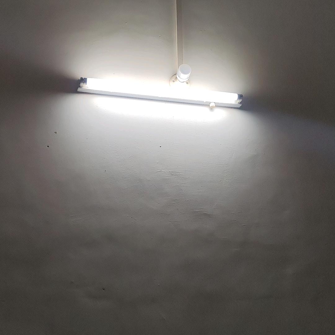 鹿搞
