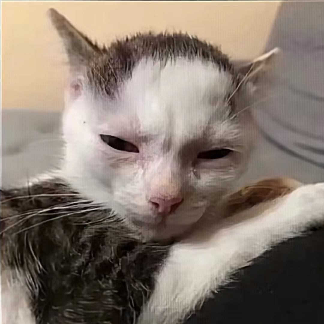 大好人没逝🍥