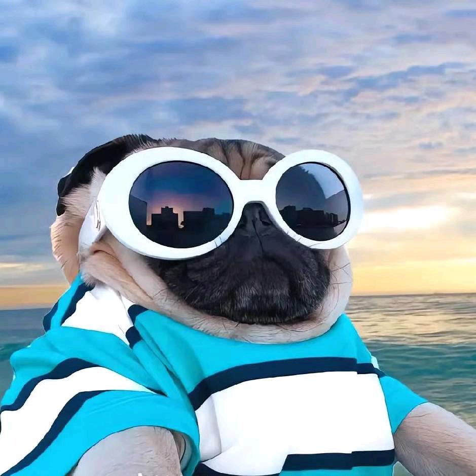 启-航（新人助力）