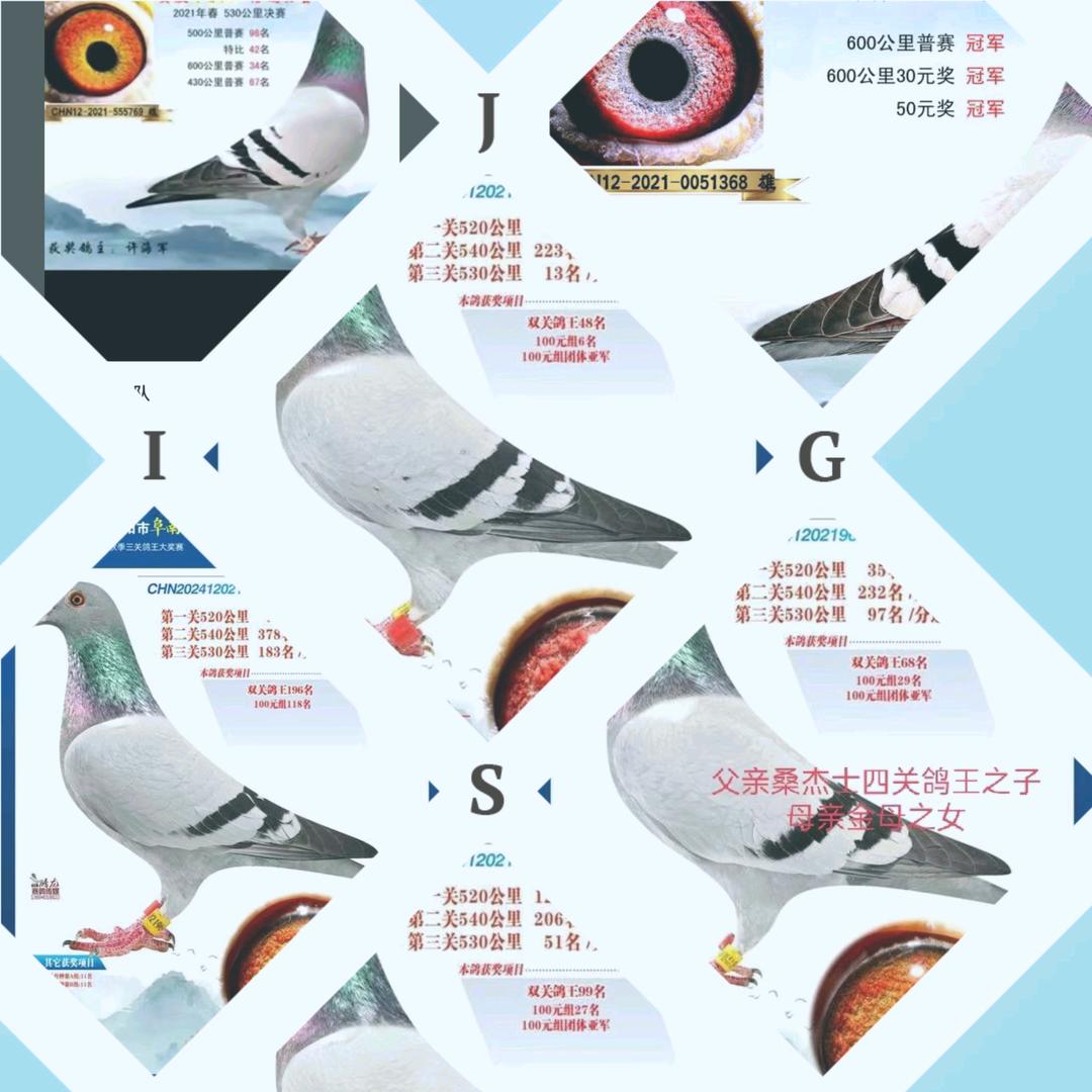 飞冠战队～许海军