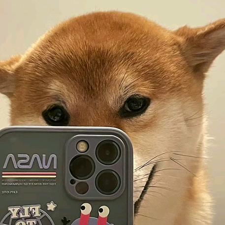 乖宝萌宠