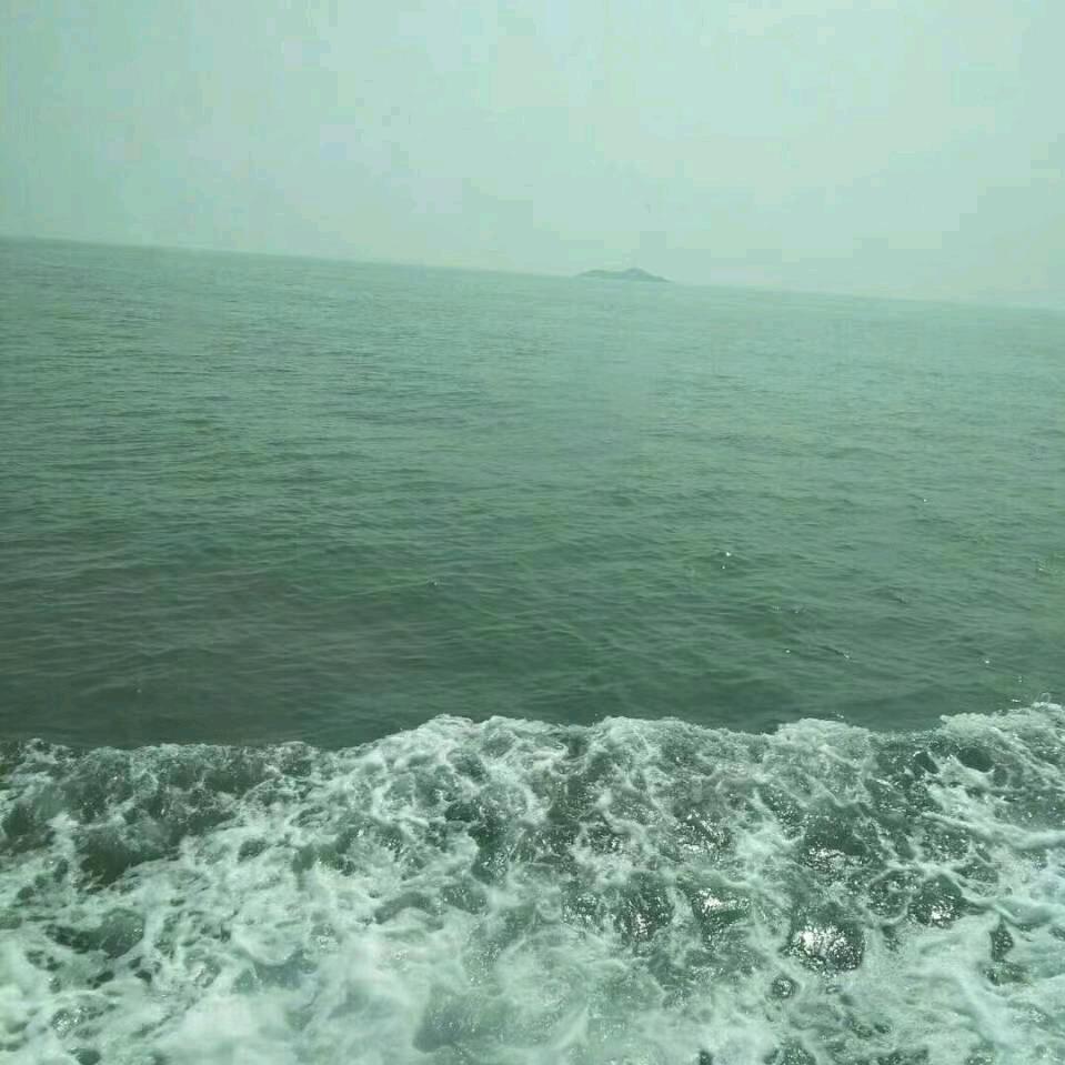阳光🐎大海🐟