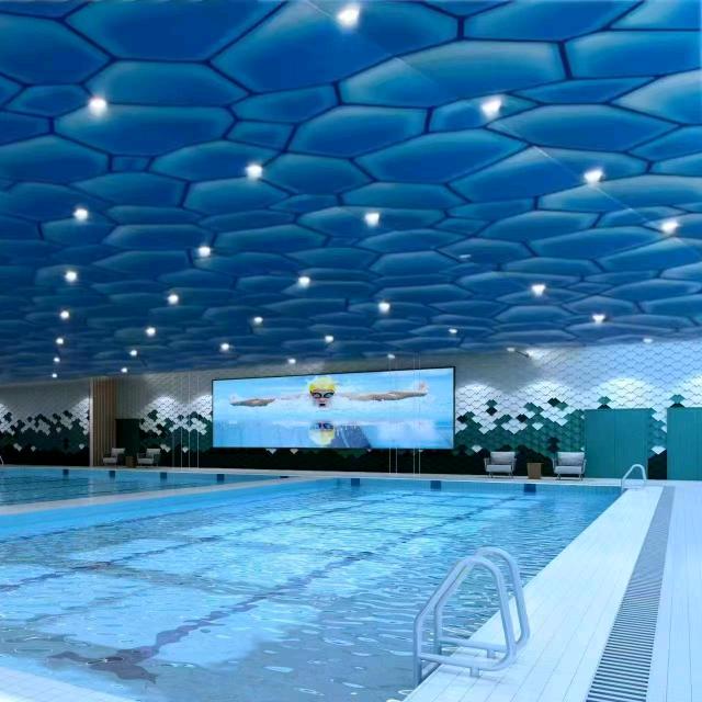 维也纳（伯爵）恒温游泳健身-旭涛