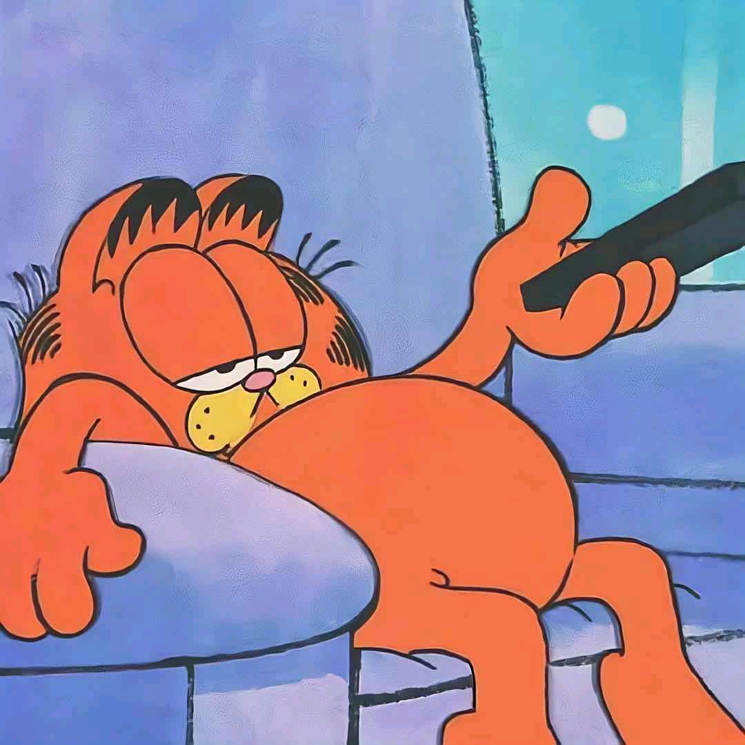 减肥的加菲猫