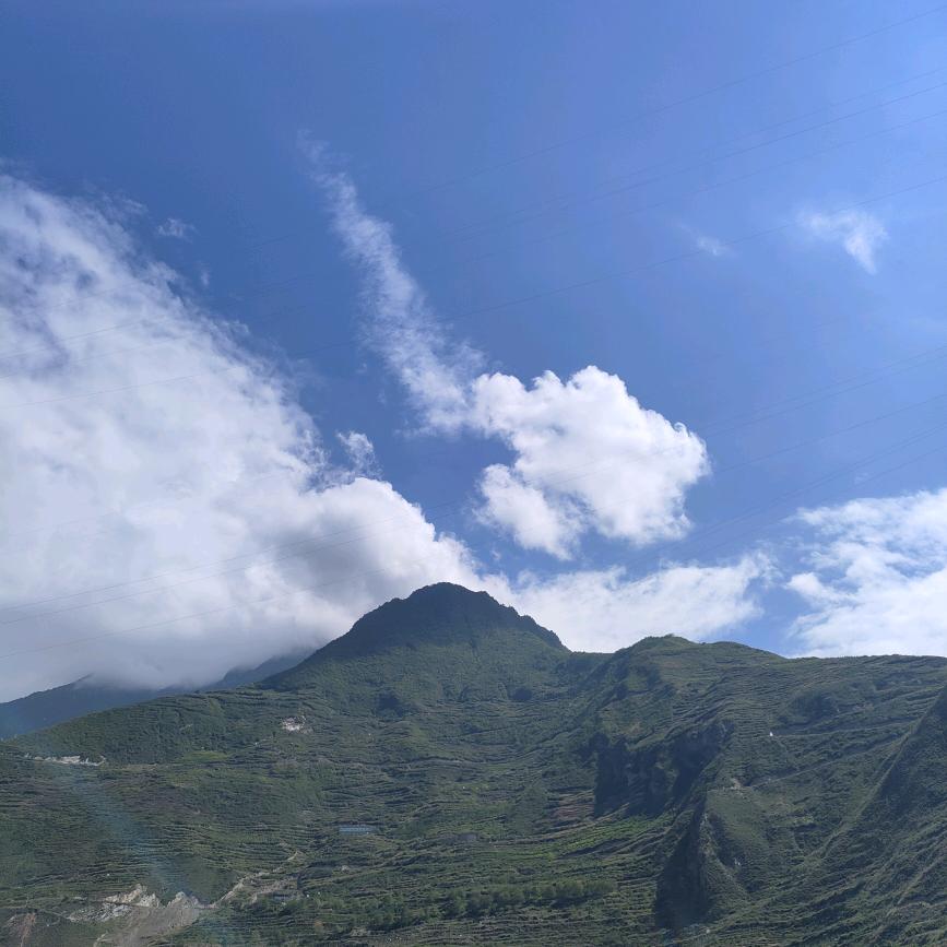 仿大爷