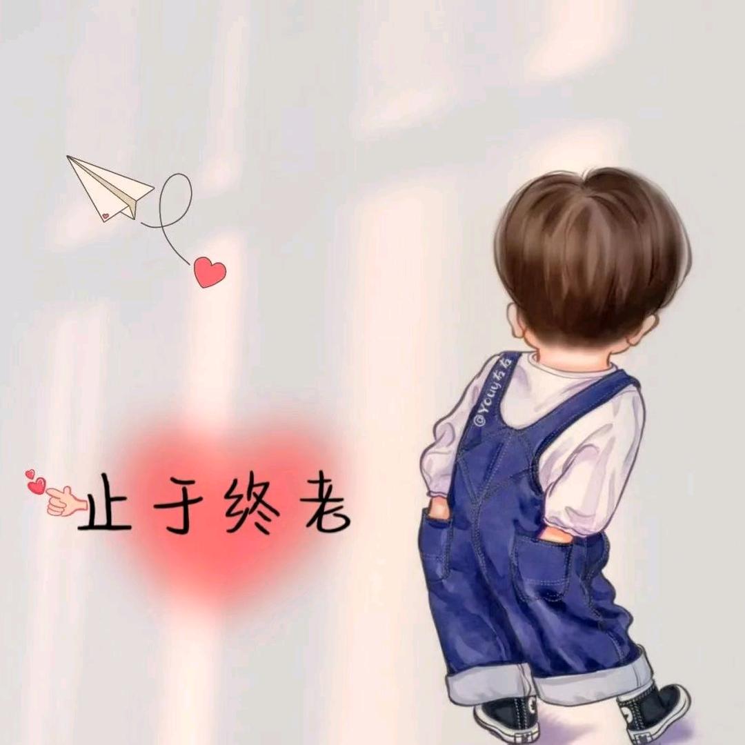 无情的BOY