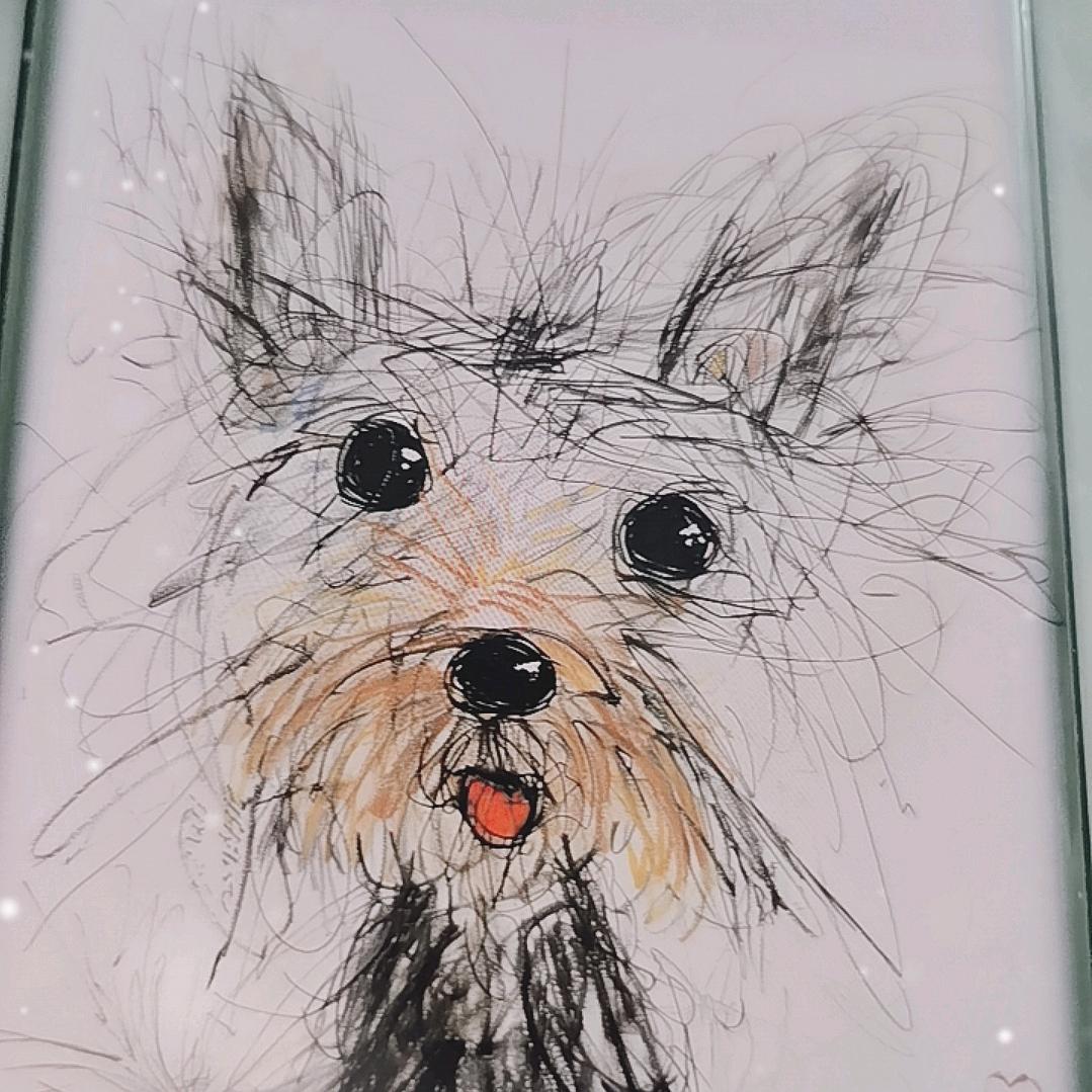 买屁的女人一次¥9.9