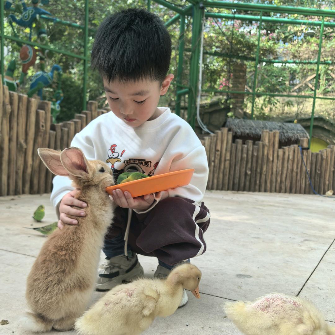 张家三妹
