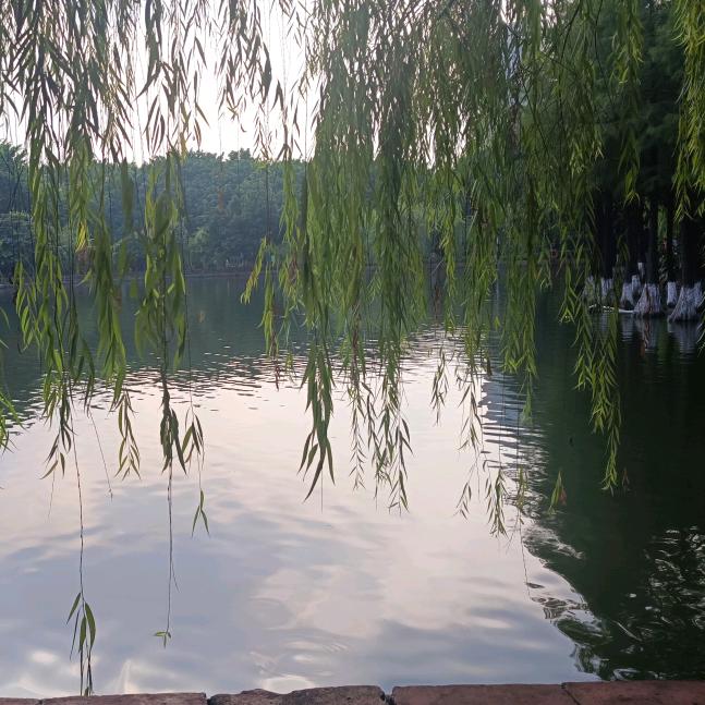 小成
