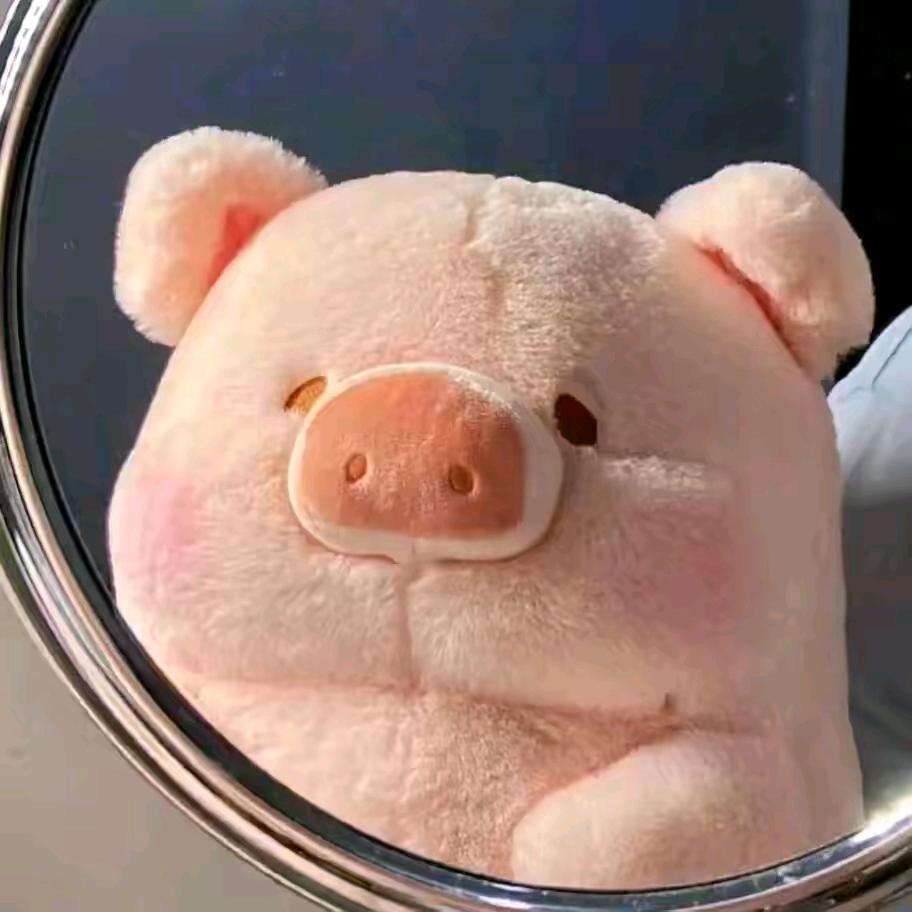 坂东塘坂村大段148号西红柿