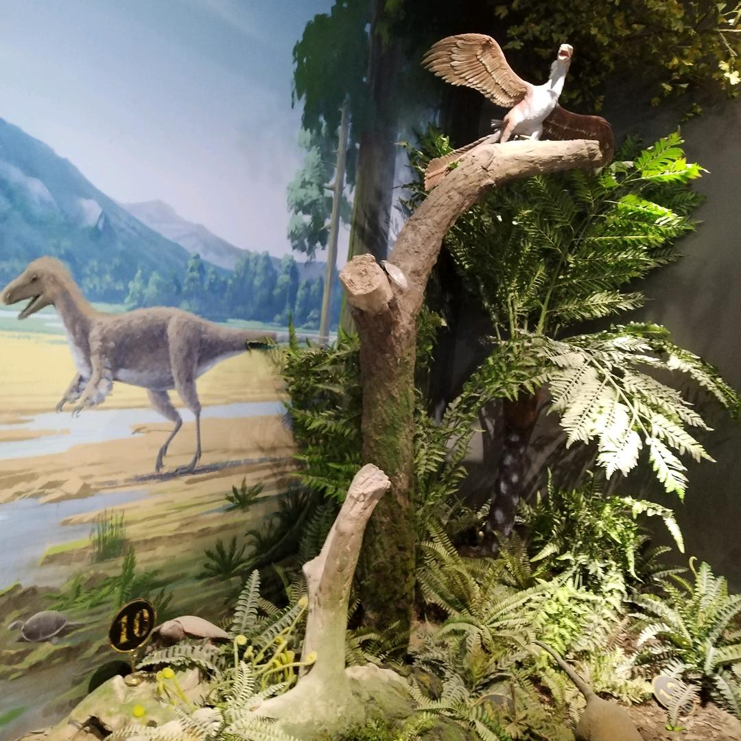 ༄༊࿆杨之💞弥高ღ