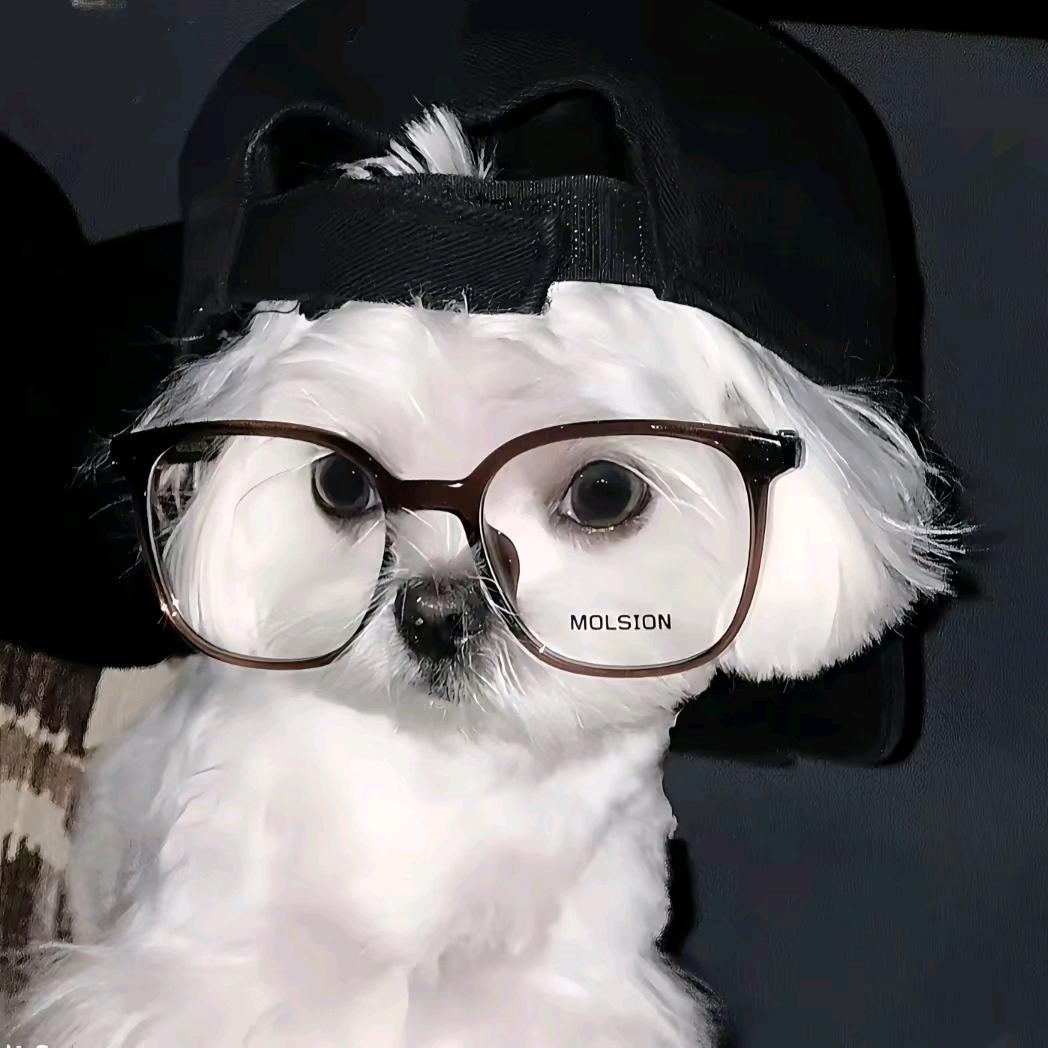我就是琪琪