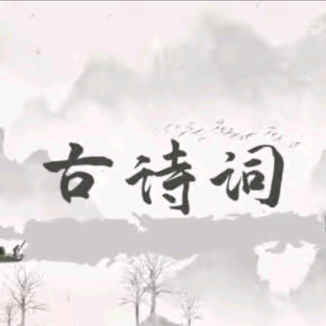 小怡子姐姐