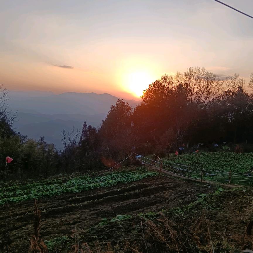 平安