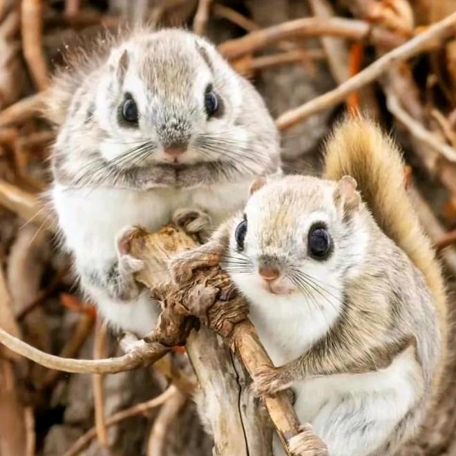 静静姐（首播筹备中）