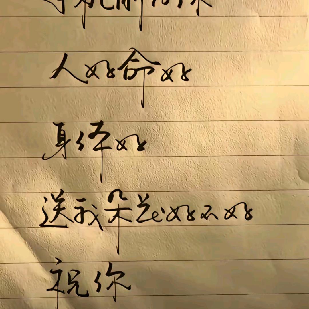 菲菲广东药材煲汤主🈺