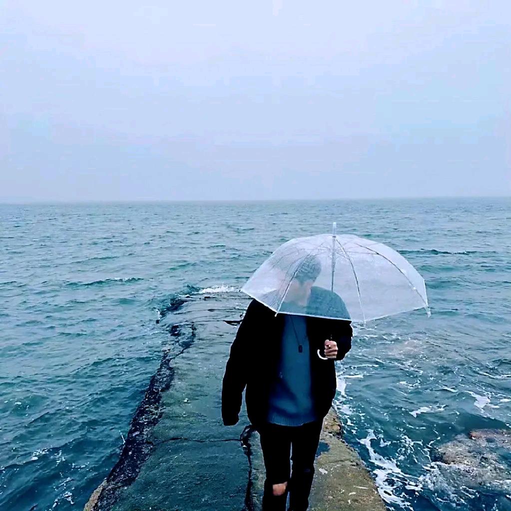 风止离🍁