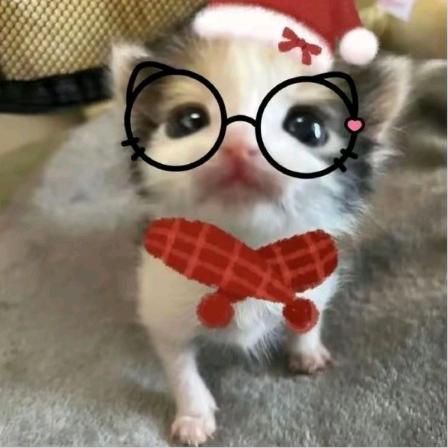 小小雨