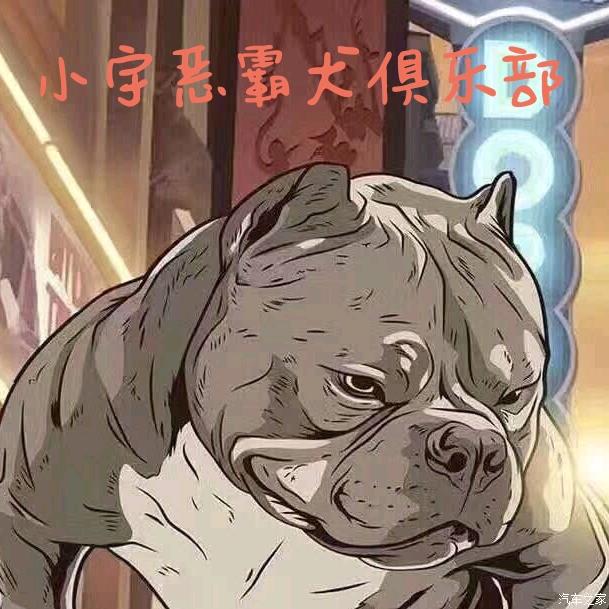 小宇恶霸犬俱乐部