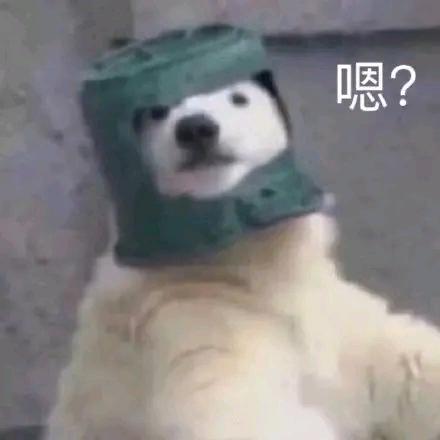 屁登