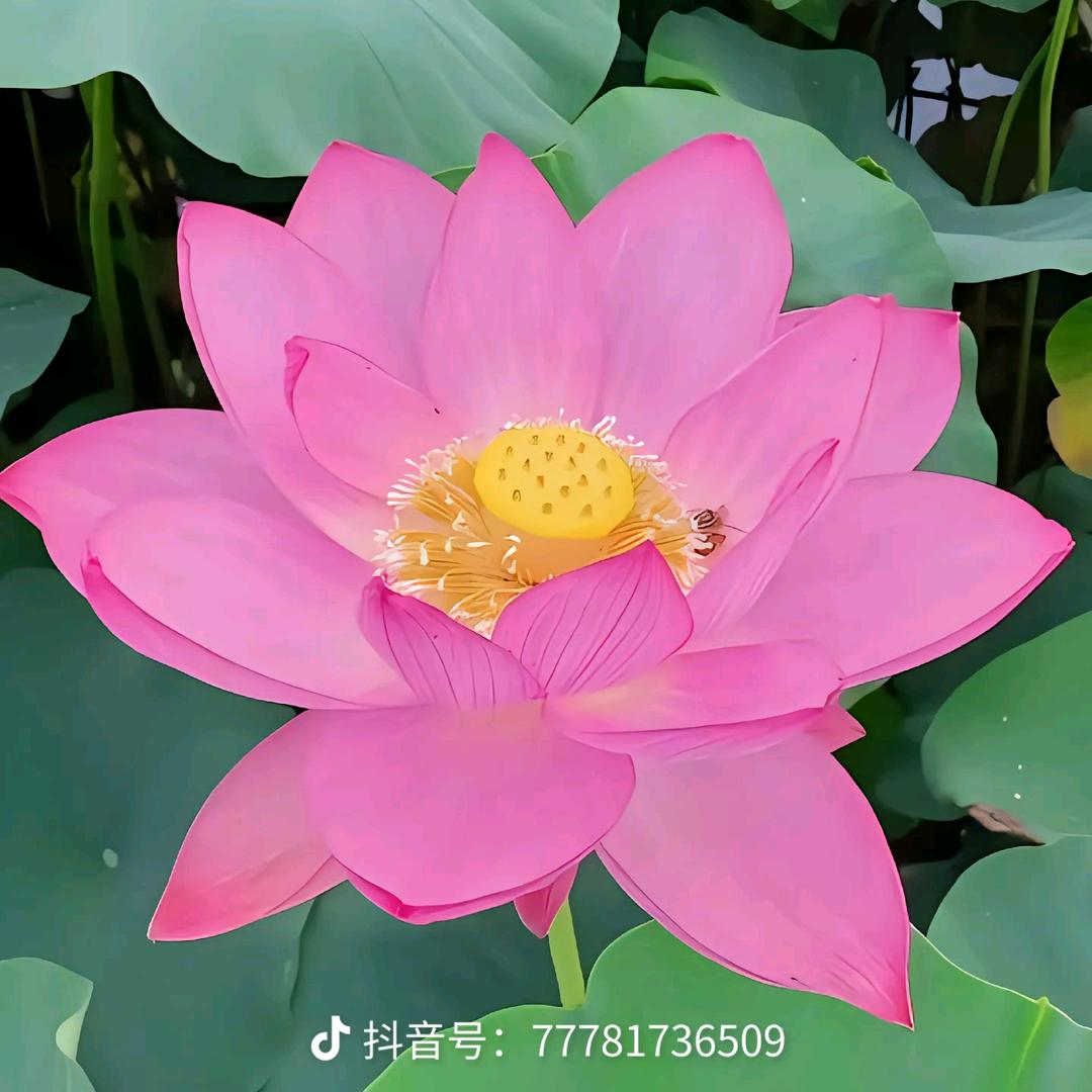 易姐