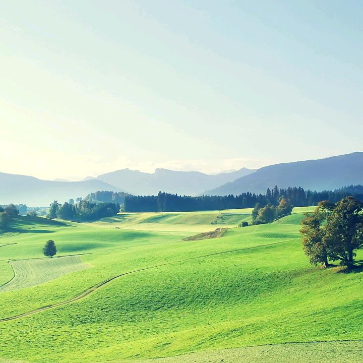 云君⁸⁰⁶（音乐）