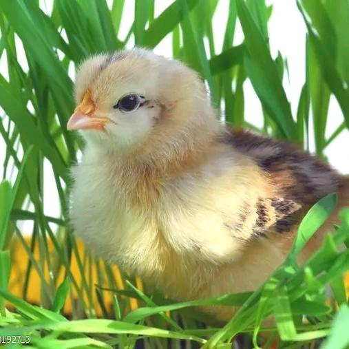 赢和泰好人家动保店