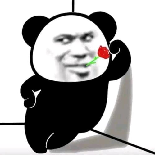 🚬এ᭄笑敬ོ过往ꦿ࿐
