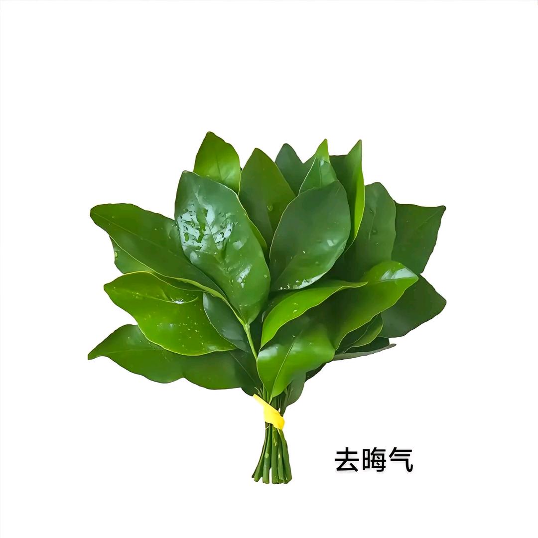 @小张