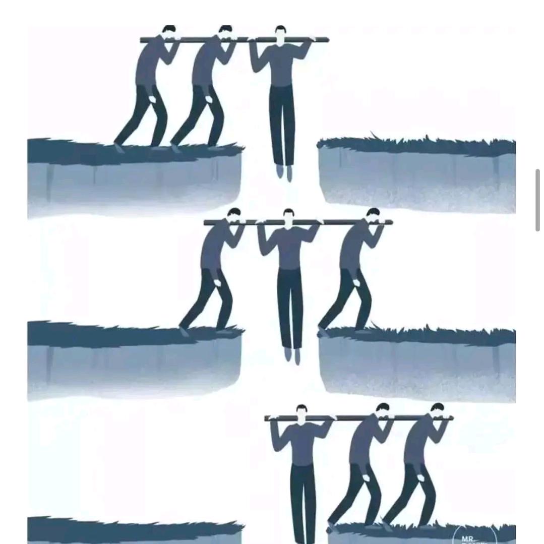 出租好马克挖树机、专供樱花