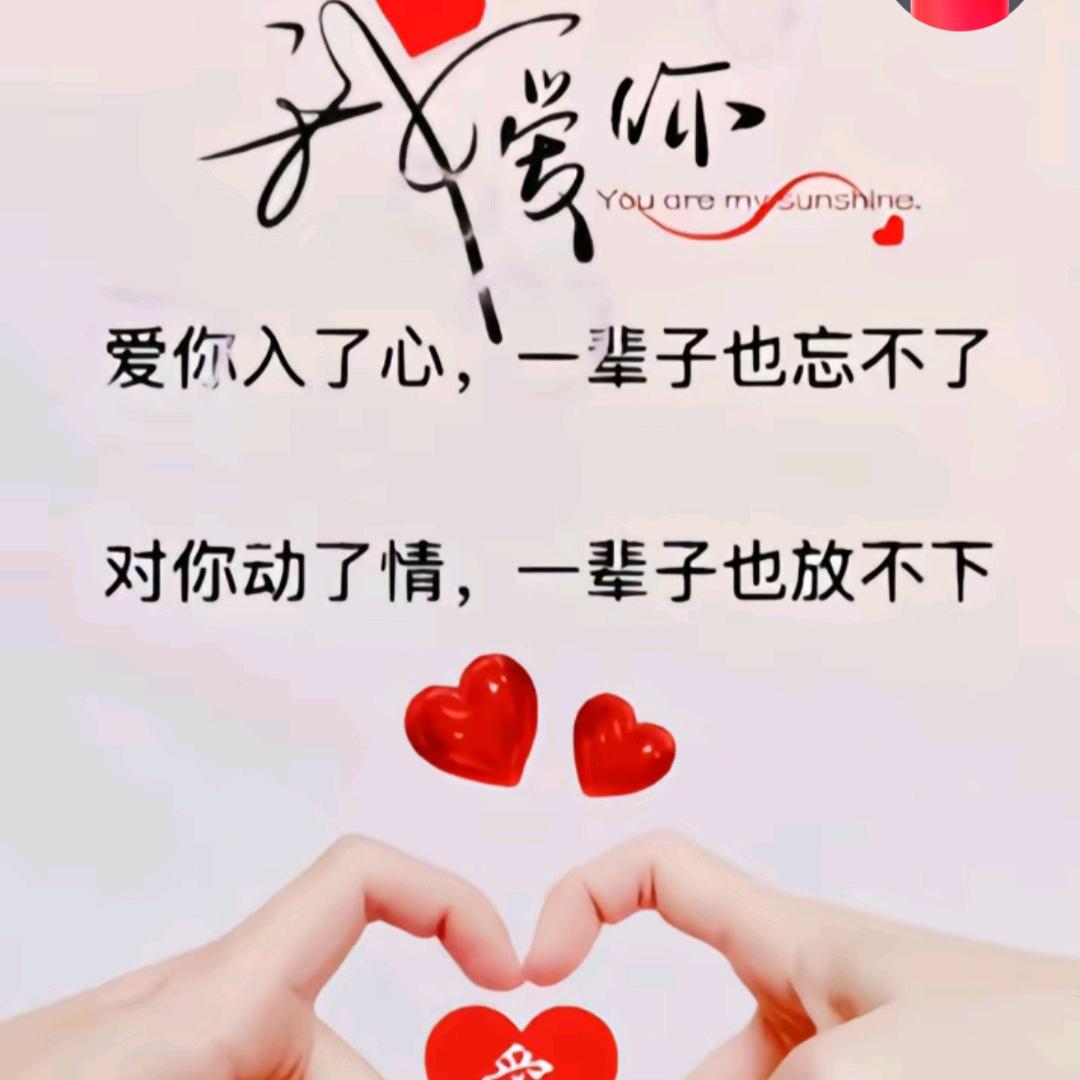 ╭(╯袁映碧╰)╮