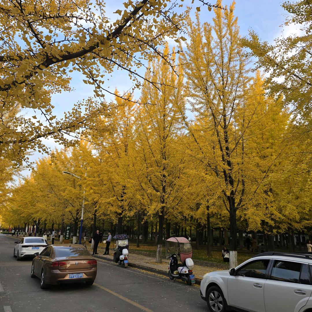 康健
