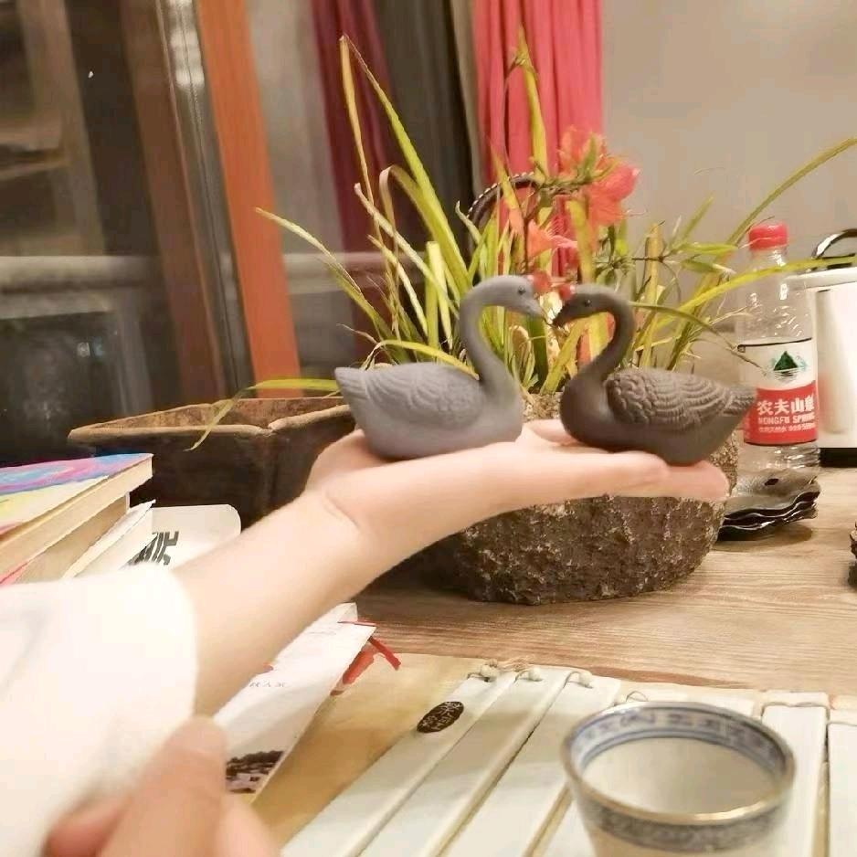 银子🌸🌸