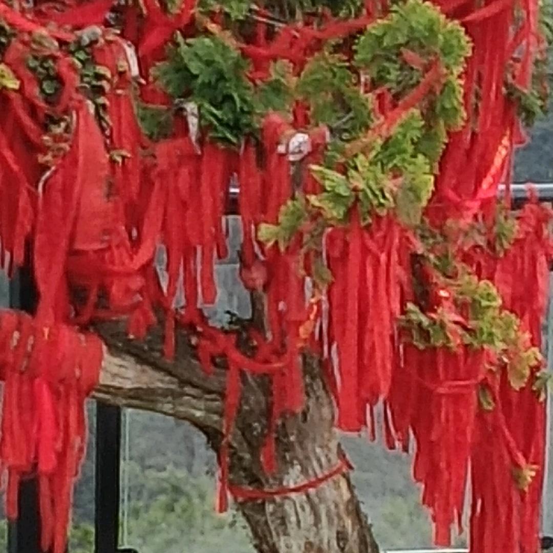 私念如梦