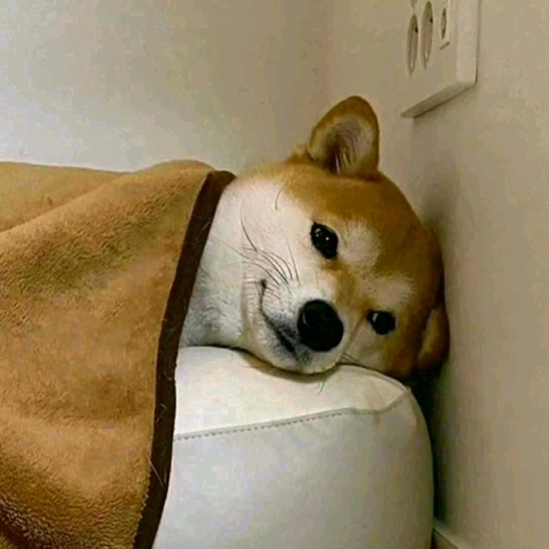 吃可爱多长大的超级超级小可爱