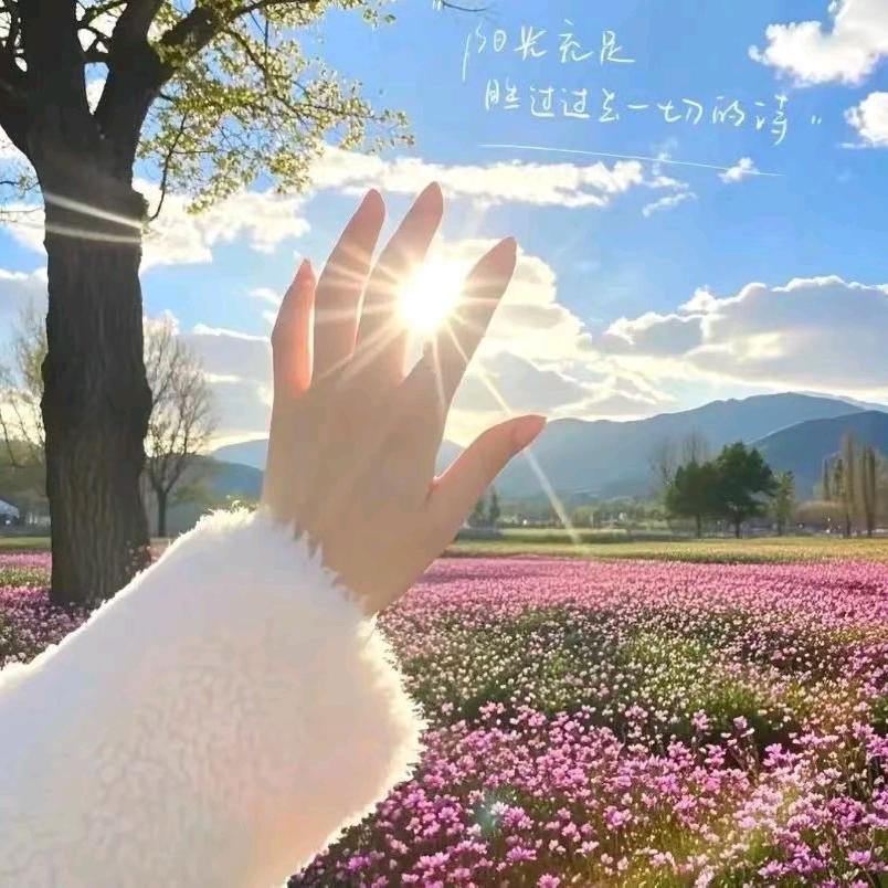 中牟花生秧源头厂家