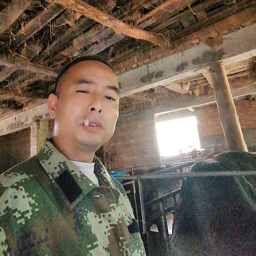 养牛人伟哥