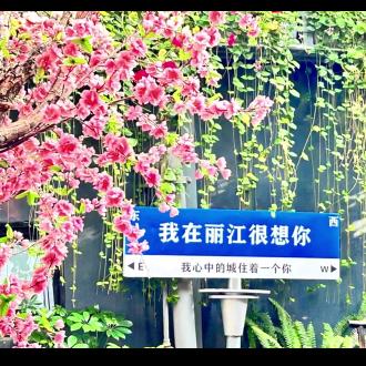 我要山川湖海要自由