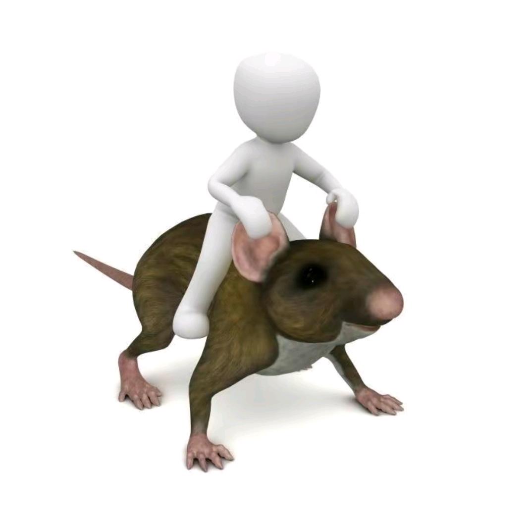 蓝达