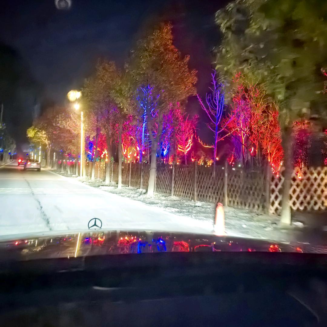 莫晨依生物能源