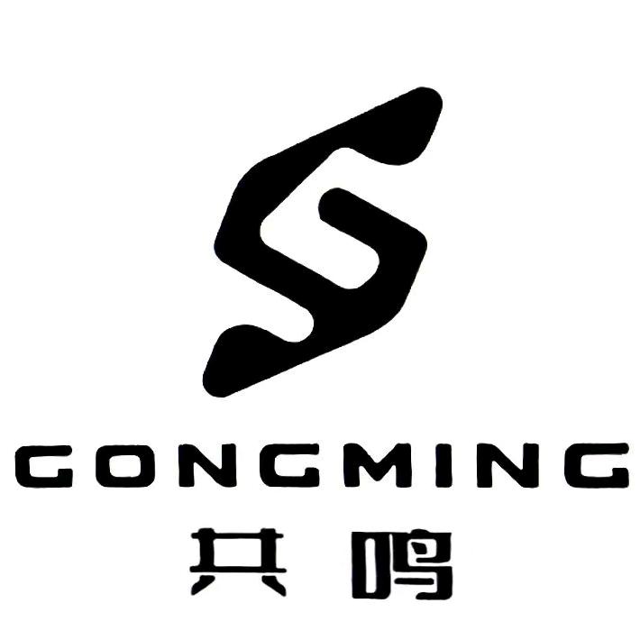 肇庆市共鸣文化有限公司