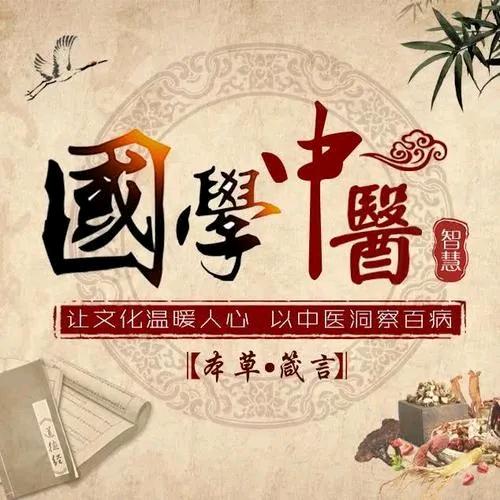 中医瑰宝