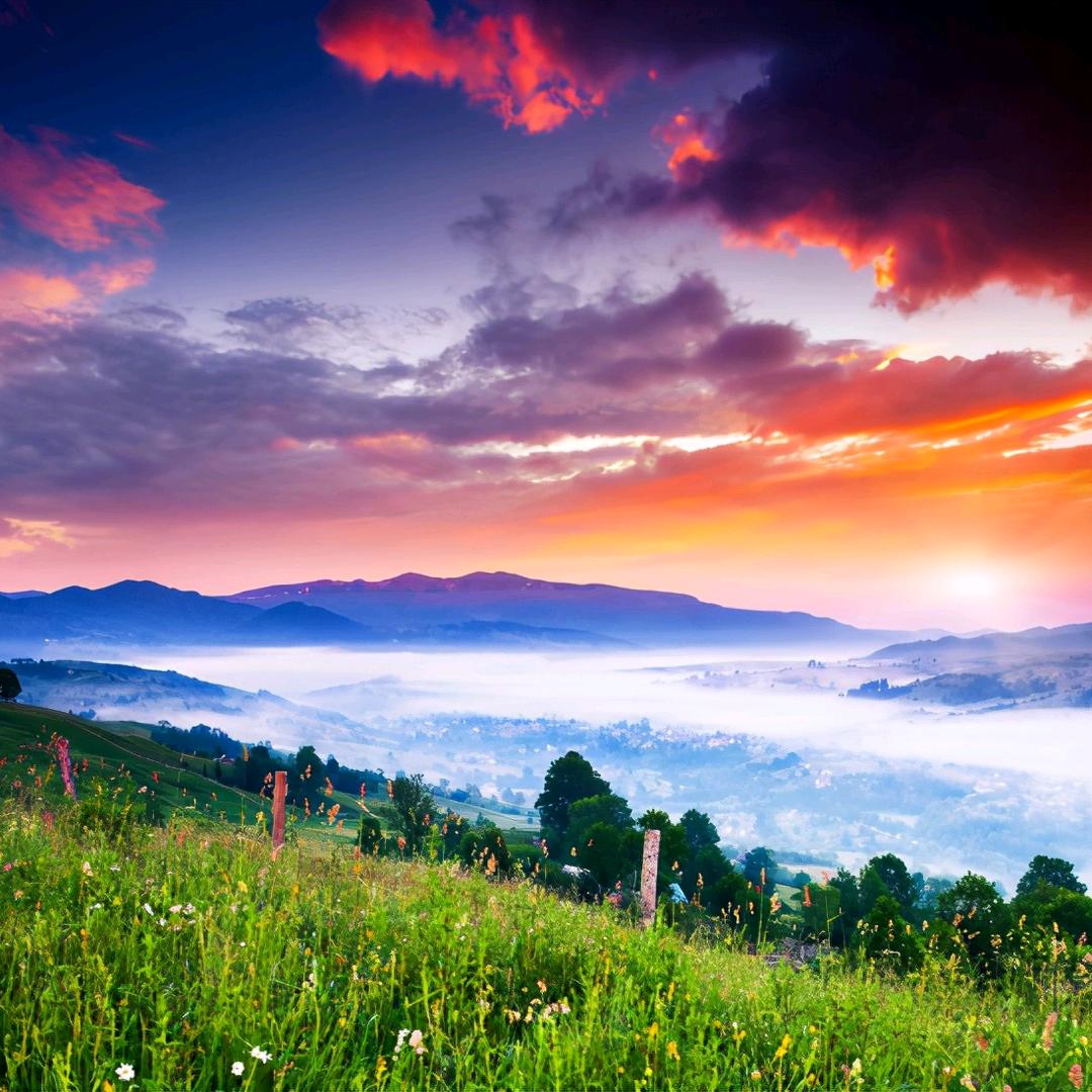 遇见星星的旅程