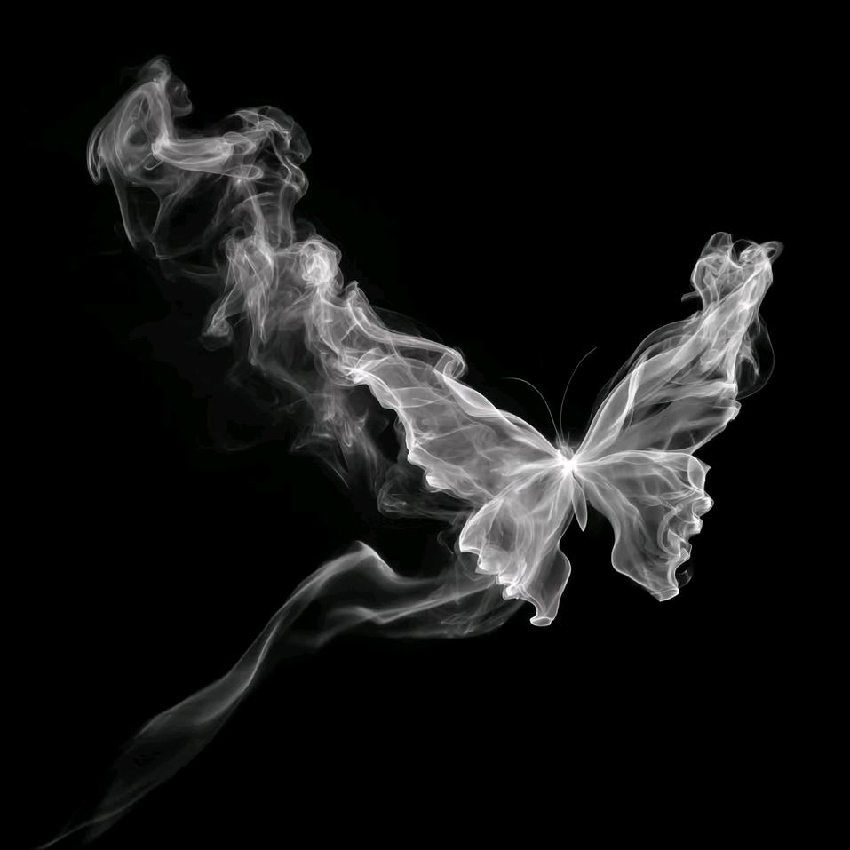 𝑶𝑾𝑵𝑬𝑹🫧