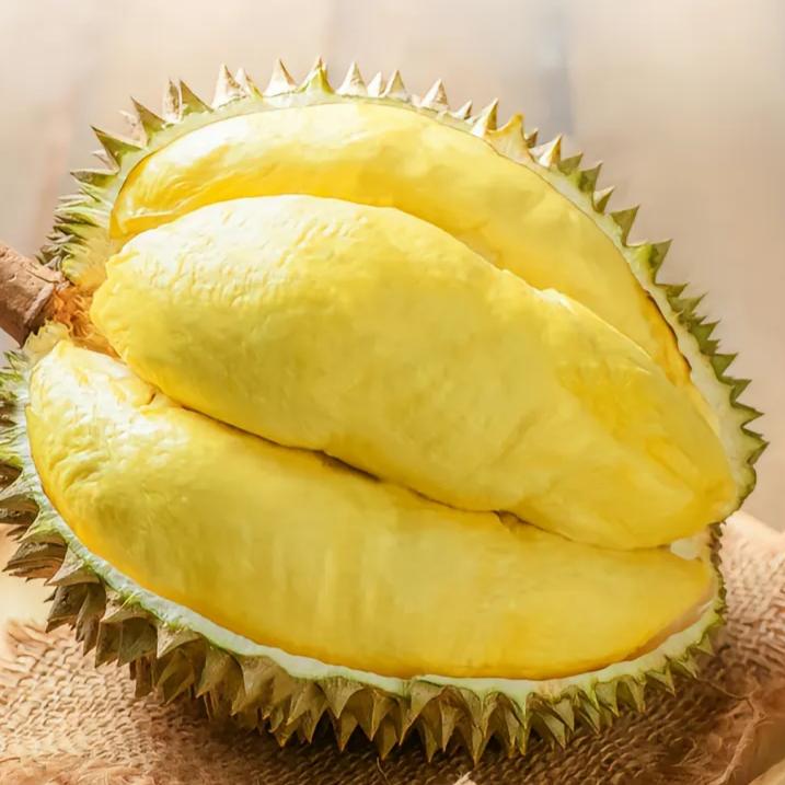 沈丘县万嘉惠果业仓储九州府店