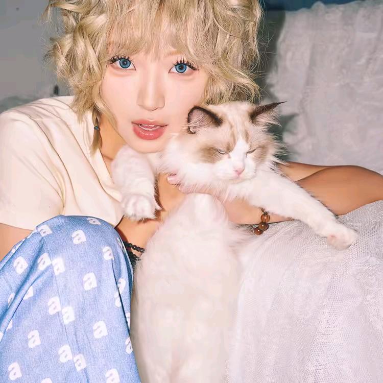 @黑猪王子