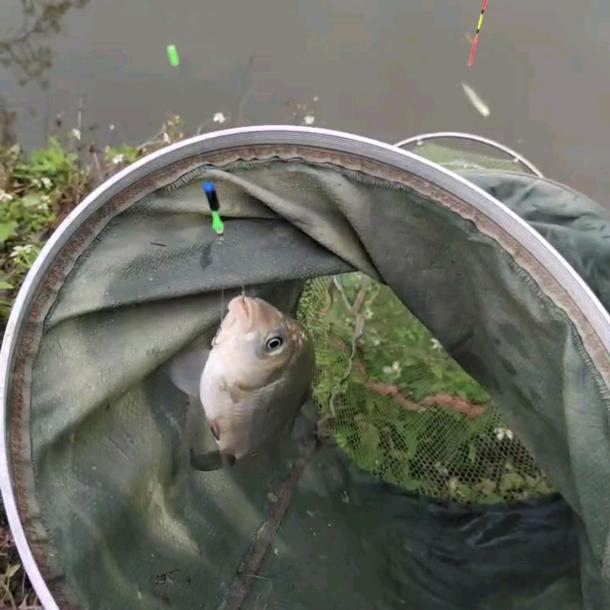 野钓开启新的启程