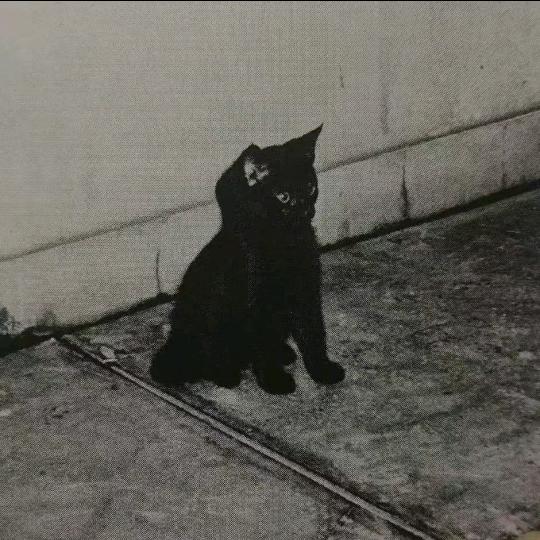 超冷漠.🎱