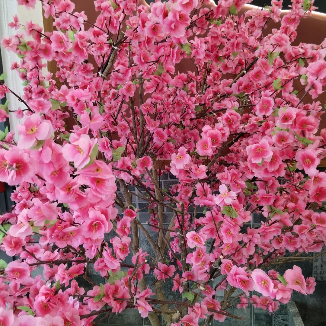 靠自己